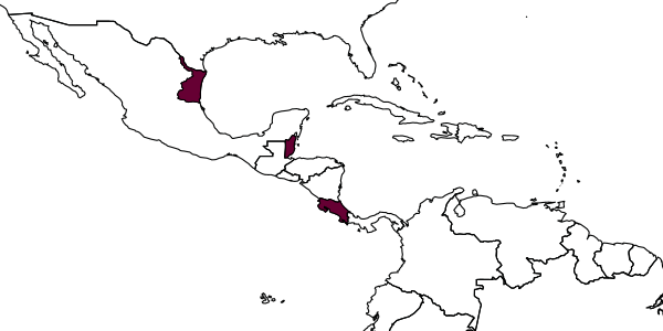 map of Polysphincta purcelli     Gauld, 1991